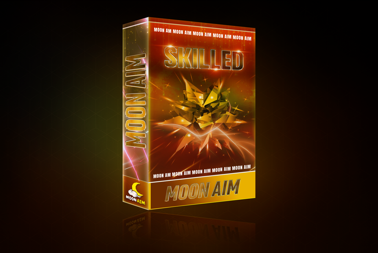 Skilled (Fortnite)